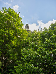 garden with trees and tower