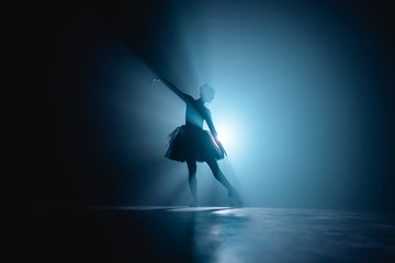 Wall Mural - Ballerina in black tutu dress dancing on stage with magic blue light and smoke. Silhouette of young attractive dancer in ballet shoes pointe performing in dark. Copy space.