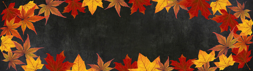 Wall Mural - autumn – frame of colorful leaves isolated on a black concrete texture – background panorama banner long