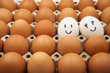 white egg among many brown eggs in egg carton , valentines ,couple , love ,different concept