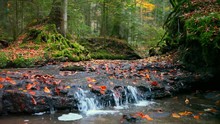 River Stream In Enchanted Serene Autumn Forest In Schwäbischer Wald Germany