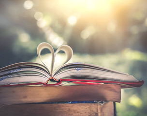 Wall Mural - Stack of books in the library and blur  background