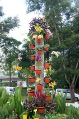 KUALA LUMPUR, MALAYSIA - DECEMBER 15, 2018: The flowers are planted in a hanging container. Beautifully decorated as a garden decoration.