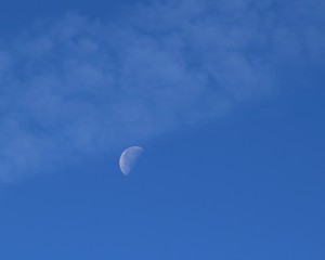 Canvas Print - Moon