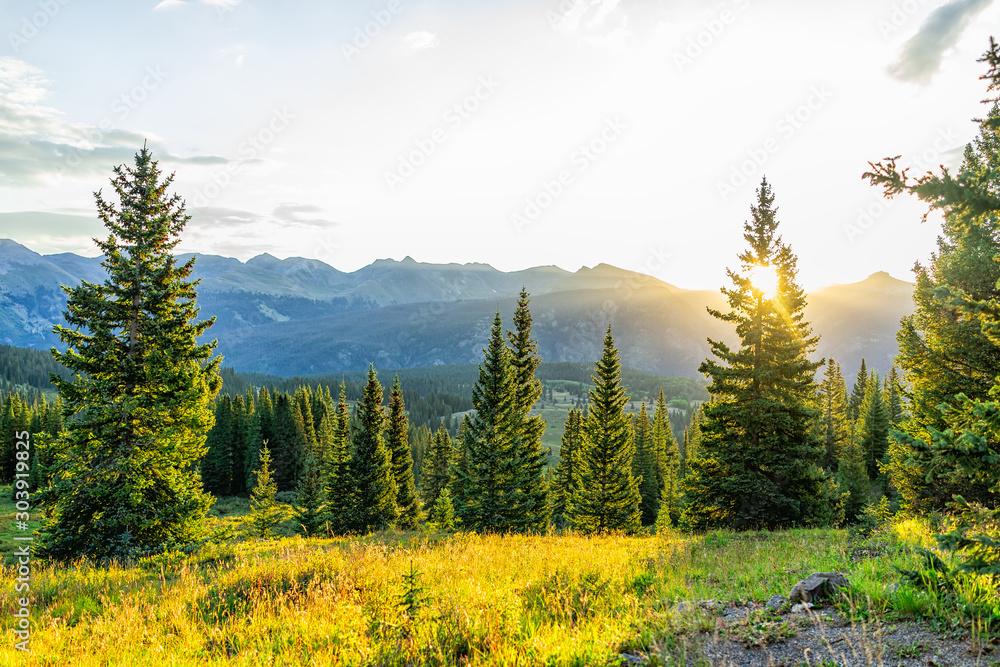 Sunrise sunlight sunburst through tree in San Juan mountains in Silverton, Colorado in 2019 summer morning with forest landscape view - obrazy, fototapety, plakaty 