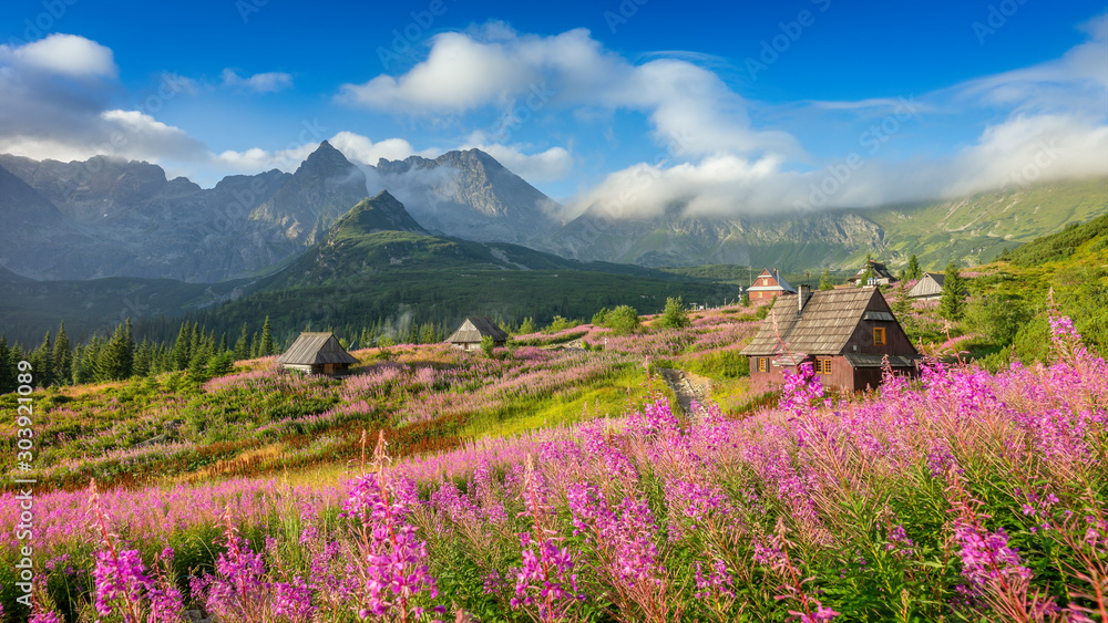 Obraz na płótnie Beautiful mountain landscape, Tatry, Zakopane w salonie