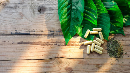 capsule and powder on kratom leaf (Mitragyna speciosa) Mitragynine on wooden ,Drugs and Narcotics,Thai herbal which encourage health