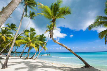 Sticker - Tropical beach in Caribbean sea, Saona island, Dominican Republic