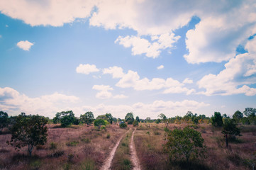 Rural Roads.Rural Village Landscape