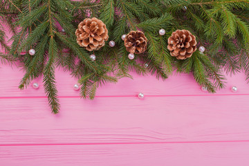 pink christmas background with natural decor. top border from fresh fir branches, pine cones and whi