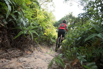 Wall Mural - Cross country biking woman cyclist riding mountain bike on tropical forest trail