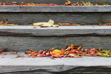 Colorful fall leaves on outdoor wooden staircase.