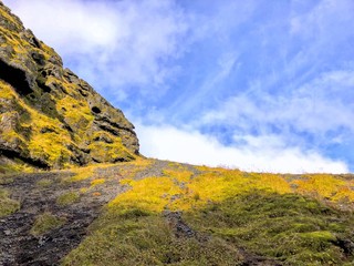 Iceland grass covered volcanic rock