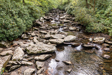 Poster - Great Smoky Mountains National Park