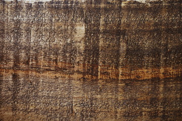 Wall Mural - Dark wooden grunge texture background