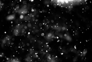 Christmas background, white snow on black background for edit photo.