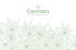 green cannabis leaf drug marijuana herb Background. Vector Marijuana Frame Cannabis Green Leaf.
