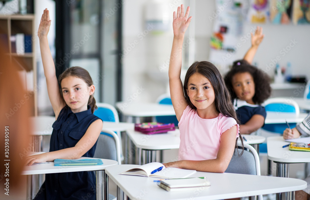 Obraz School children sitting at the desk in classroom on the lesson, raising hands. fototapeta, plakat