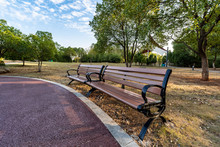 Bench In The Park