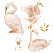 Beautiful Hand Drawn Watercolor Dreaming Swan With Gold Foil Contour