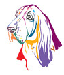 Colorful decorative contour outline portrait of Dog Basset Hound looking in profile, vector illustration in different colors isolated on white background. Image for design and tattoo. 
