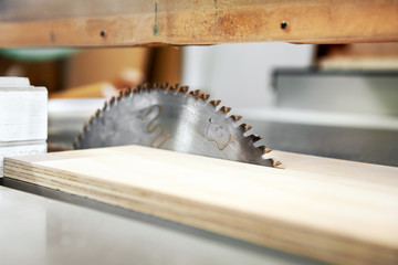 Wall Mural - Close up view of a toothed circular saw blade