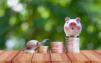 The snail and the piggy bank are on the pile of coins for financial growth ideas.