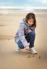 Poster - young girl picking razors on the beach in northern France