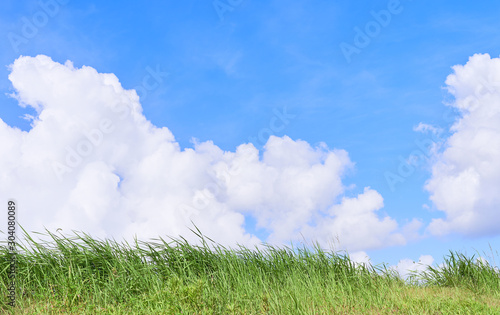 青空 入道雲 背景素材 Comprar Esta Foto De Stock Y Explorar Imagenes Similares En Adobe Stock Adobe Stock 青空 入道雲 背景素材 Comprar Esta Foto De Stock Y Explorar Imagenes Similares En Adobe Stock Adobe Stock