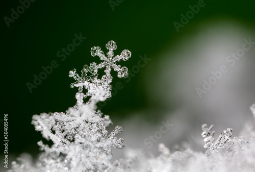 Fotografía photo real snowflakes during a snowfall, under natural conditions at low tempera