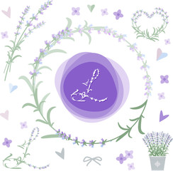 Wall Mural - Collection of vector design elements with lavender.