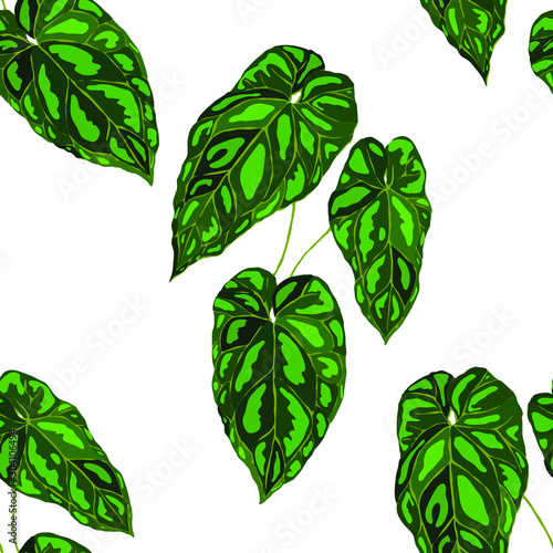 Seamless pattern with tropical leaves. Beautiful allover print with hand draw...