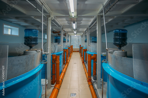 Round Tanks For Growing Sturgeons With Automatic Feeder In Fish