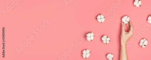 Cuadros en Lienzo Creative composition with cotton