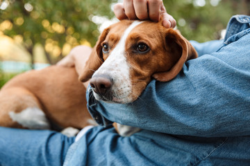 Photo of young man sitting on bench in park with his canine dog