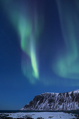 beautiful northern lights over the snow covered winter landscape of the lofoten islands