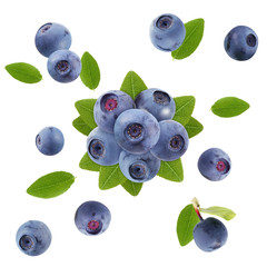 Wall Mural - bunch of blueberries isolated on a white background, top view.