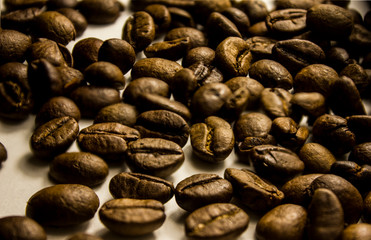 Three coffee beans on a white background.