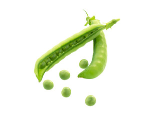 Canvas Print - Peas pods isolated.