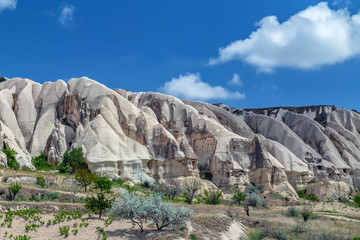 Wall Mural - Rose Valle Goreme Cappadocia, Anatolia, Turkey.