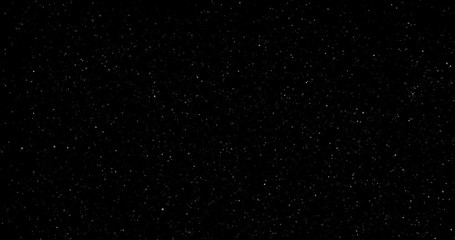 Wall Mural - flying dust particles on a black background