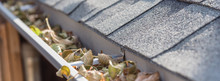 Panoramic View Gutter Full Of Dried Leaves Near Roof Shingles With Satellite Dish In Background