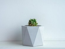 Cactus Pot. Concrete Pot. Modern Geometric Concrete Planter.