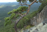 Fototapeta Do pokoju - view from the mountain in Borovoye