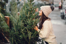 Elegant Girl Buys A Christmas Tree. Woman In A White Knited Sweater. Beautiful Lady With Dark Hair.