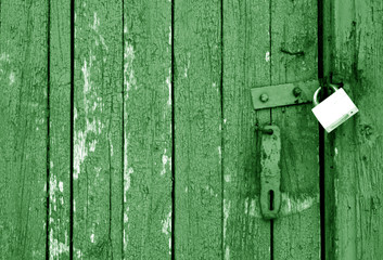 Wall Mural - Grungy wooden door with lock in green tone.