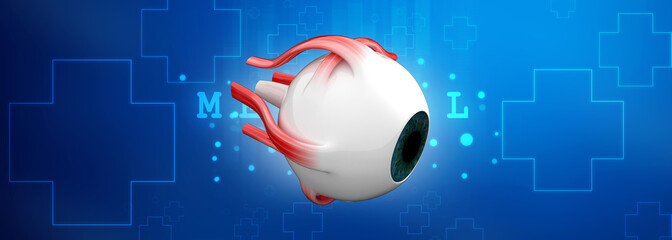 Poster - 3d rendering Human eye structure