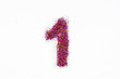 © Anastasia - Figure 1 of bright sequins on white background