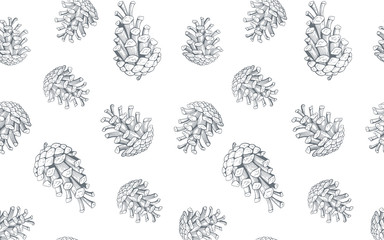 Wall Mural - hand drawn seamless pattern with pine cones. vector