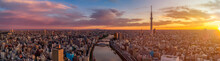  Panorama Of  Tokyo Skyline At Dawn, Japan